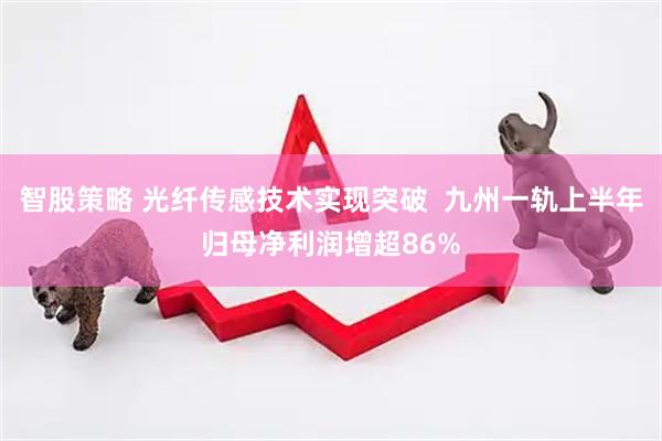 智股策略 光纤传感技术实现突破  九州一轨上半年归母净利润增超86%