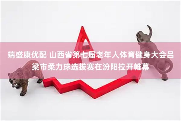 端盛康优配 山西省第七届老年人体育健身大会吕梁市柔力球选拔赛在汾阳拉开帷幕