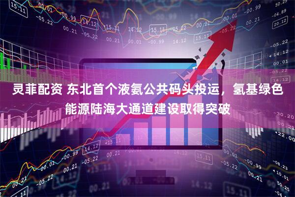灵菲配资 东北首个液氨公共码头投运，氢基绿色能源陆海大通道建设取得突破