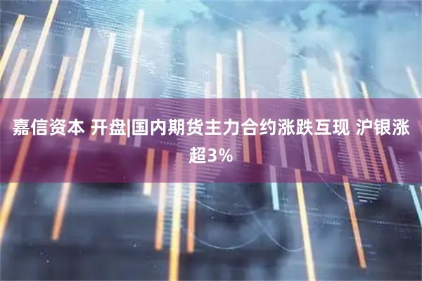 嘉信资本 开盘|国内期货主力合约涨跌互现 沪银涨超3%