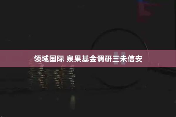 领域国际 泉果基金调研三未信安