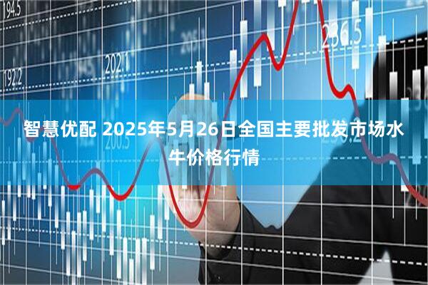 智慧优配 2025年5月26日全国主要批发市场水牛价格行情