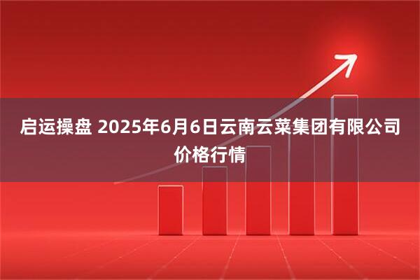 启运操盘 2025年6月6日云南云菜集团有限公司价格行情