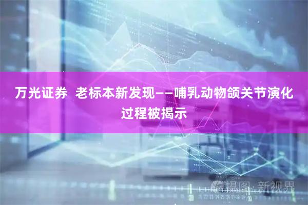万光证券  老标本新发现——哺乳动物颌关节演化过程被揭示