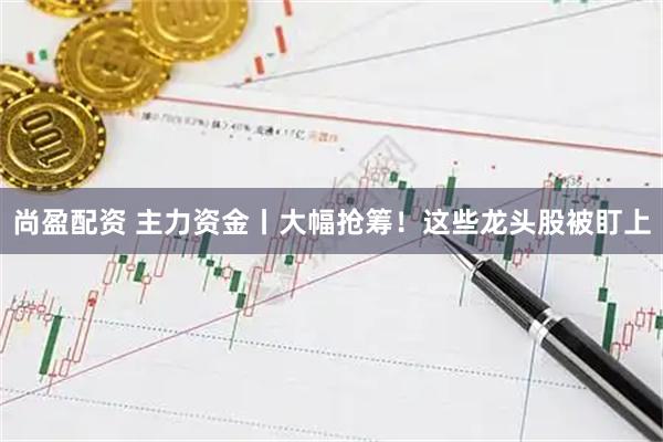 尚盈配资 主力资金丨大幅抢筹！这些龙头股被盯上