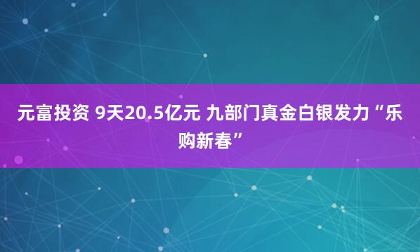 元富投资 9天20.5亿元 九部门真金白银发力“乐购新春”