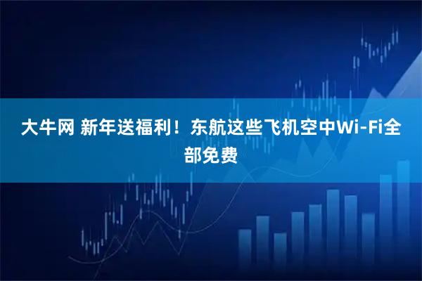 大牛网 新年送福利!东航这些飞机空中Wi-Fi全部免费