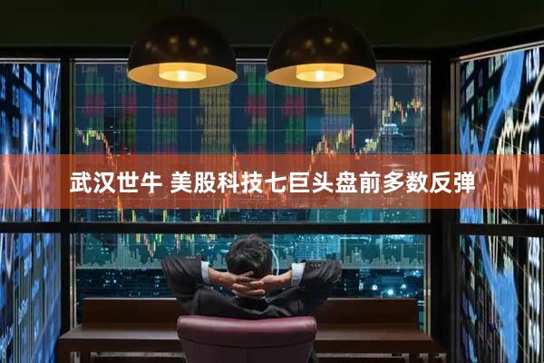 武汉世牛 美股科技七巨头盘前多数反弹